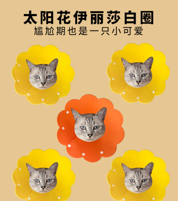 产品视频 3